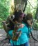 bebés de mono y los bebés de chimpancé para la venta (licencia criadores)