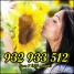 TAROT ECONOMICO    932933512 y   806002858