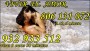 Tarot fiable visas de 7 € 25 min 932-933-512 y 806 002 858