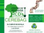 Recogida de Residuos RCD´s (Escombros)