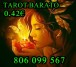 Tarot barato y bueno ELISA 806 099 567-911 010 058