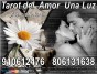 UnaLuz Videncia y Tarot 100% FIABLES Visa desde 7€/15m