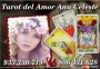 CONSULTAS DETALLADAS DEL AMOR  806 DESDE 0.42€/M