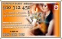 TAROT POR VISA /MASTER CARD 4 EUROS 15MIN/7EUR 25MIN79EUR 35MIN 910312450/806002109  Coste min. 0,42/0,79 cm € min red fija/móvil.