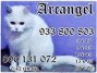 tarot  arcangel ofertas   5 euros 17 mts    932933512